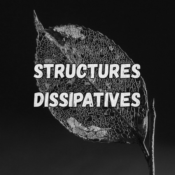 structures dissipatives