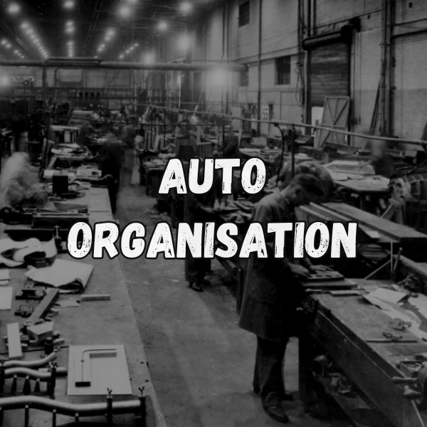 organisation